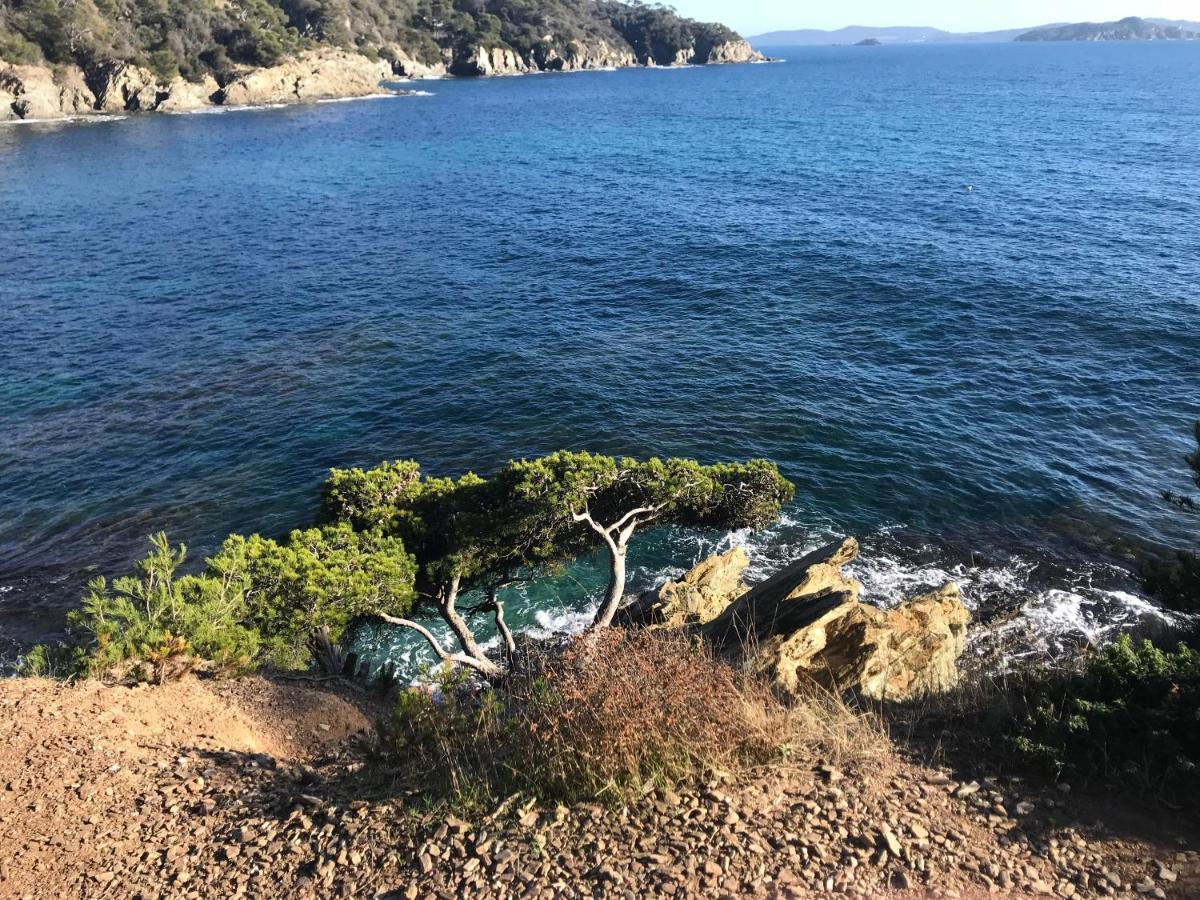 La Pauseto Hébergement de vacances La Seyne-sur-Mer