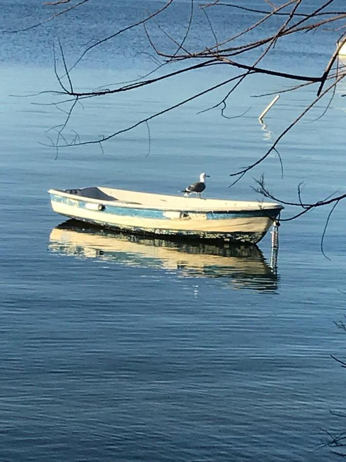 Hébergement de vacances La Pauseto